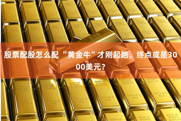 股票配股怎么配 “黄金牛”才刚起跑，终点或是3000美元？