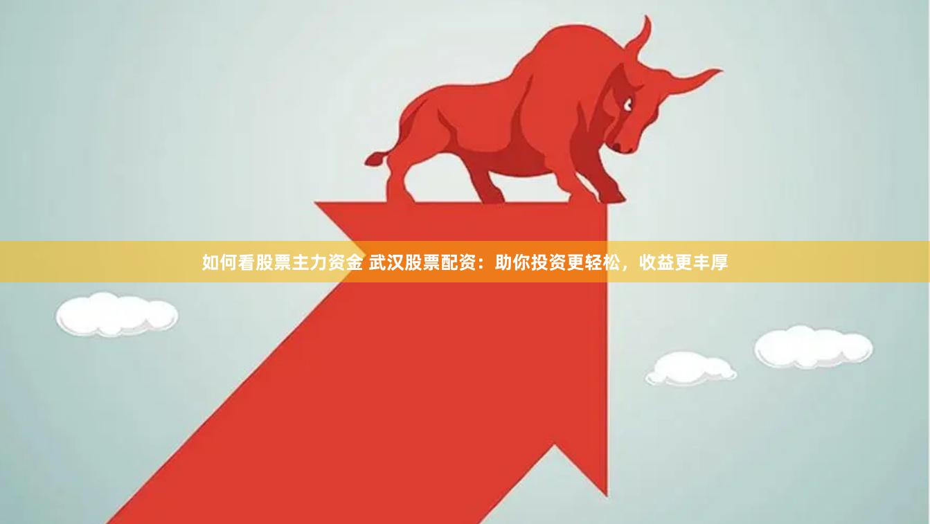 如何看股票主力资金 武汉股票配资：助你投资更轻松，收益更丰厚